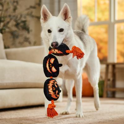 Show full view: Frisco Halloween Pumpkins Plush with Rope Squeaky Dog Toy, Large/X-Large slide 3 of 7
