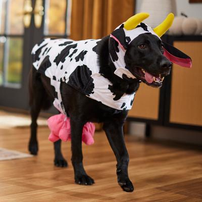 Show full view: Frisco Happy Cow Dog & Cat Costume, XXX-Large slide 6 of 8