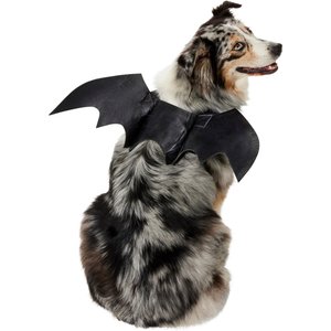 Frisco Bat Wings Dog & Cat Costume, X-Large/XX-Large