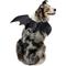 Show in main carousel: Frisco Bat Wings Dog & Cat Costume, X-Large/XX-Large slide 1 of 8