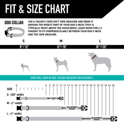 Show full view: Wolfgang WesternSky Polyester Standard Dog Collar, Small: 8.5 to 12.5-in neck, 5/8-in wide slide 4 of 7