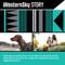 Show in main carousel: Wolfgang WesternSky Polyester Standard Dog Collar, Small: 8.5 to 12.5-in neck, 5/8-in wide slide 2 of 7