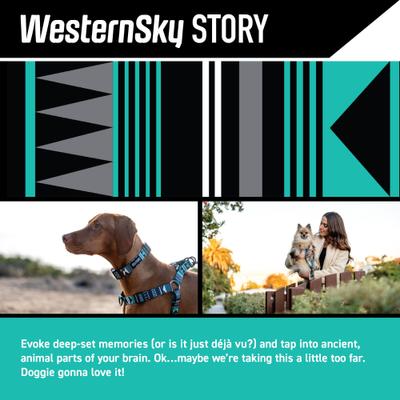 Show full view: Wolfgang WesternSky Polyester Standard Dog Collar, Small: 8.5 to 12.5-in neck, 5/8-in wide slide 2 of 7