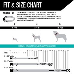 Wolfgang LazyDaisy Polyester Standard Dog Collar, Medium: 12.5 to 19-in neck, 1-in wide slide 2 of 6