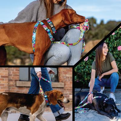 Show full view: Wolfgang LazyDaisy Polyester Standard Dog Collar, Large: 17.5 to 26.5-in neck, 1-in wide slide 7 of 8