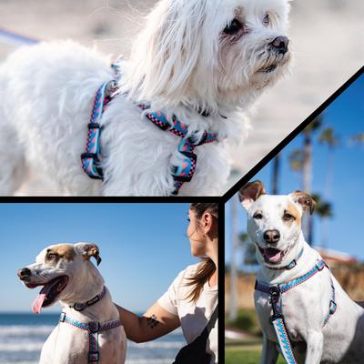 Show full view: Wolfgang BuenaOnda Polyester Standard Dog Collar, Medium: 12.5 to 19-in neck, 1-in wide slide 6 of 7