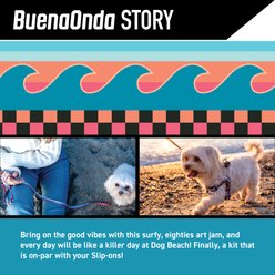 Wolfgang BuenaOnda Polyester Standard Dog Collar, Medium: 12.5 to 19-in neck, 1-in wide slide 2 of 6