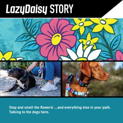 Show full view: Wolfgang LazyDaisy Polyester Standard Dog Collar, Large: 17.5 to 26.5-in neck, 1-in wide slide 3 of 8