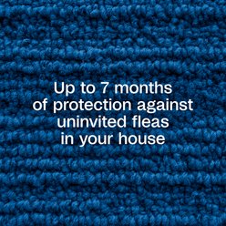 Adams Flea & Tick Home Spray, 24-fl oz bottle slide 2 of 9