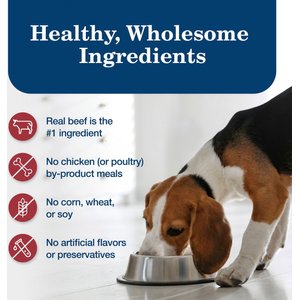 Blue Buffalo Homestyle Recipe Beef Dinner with Garden Vegetables & Sweet Potatoes Canned Dog Food, 12.5-oz, case of 12