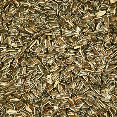 Show full view: Kaytee Striped Sunflower Wild Bird Food, 5-lb bag slide 2 of 10