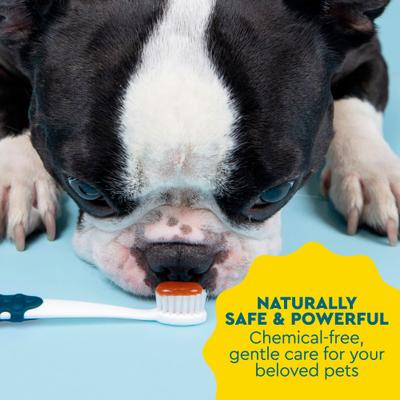 Show full view: RADIUS Organic Sweet Potato Flavored Dog Dental Solutions Kit, 3 count slide 10 of 12