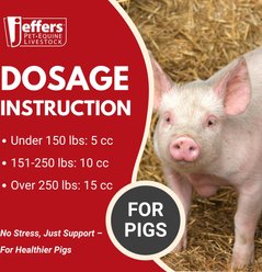 Jeffers Vita-Min Gel Multivitamin & Mineral Support Livestock & Horse Supplement, 30-cc slide 2 of 6