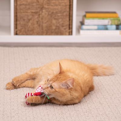 Show full view: SmartyKat Santa's Helper Cat Plush Toy with Catnip, Red slide 4 of 9