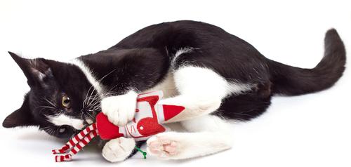 Show full view: SmartyKat Santa's Helper Cat Plush Toy with Catnip, Red slide 3 of 9