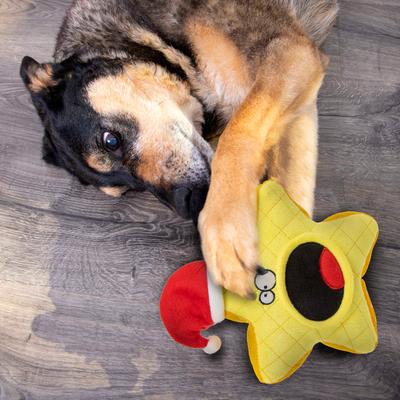 Show full view: GoDog Christmas Holiday TPR Plush Star Tough Squeaky Dog Chew Toy, Yellow/Red, Medium slide 2 of 6