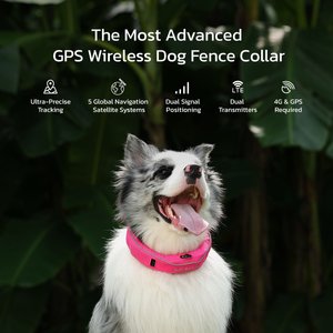 SATELLAI Wireless Fence System & GPS Tracker Dog Collar, Smoke Gray