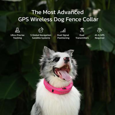 Show full view: SATELLAI Wireless Fence System & GPS Tracker Dog Collar, Shocking Pink slide 2 of 10