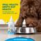 Show in main carousel: RADIUS OralPro+ Vanilla Flavored Dog Probiotic Dental Water Additive Enzymatic Concentrate, 4-fl oz slide 3 of 11