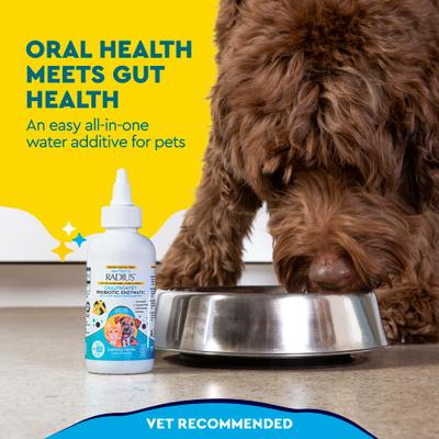 Show full view: RADIUS OralPro+ Vanilla Flavored Dog Probiotic Dental Water Additive Enzymatic Concentrate, 4-fl oz slide 3 of 11