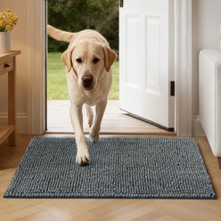 Bedsure Indoor Muddy Dog Door Mat, Grey, 24 x 35-in