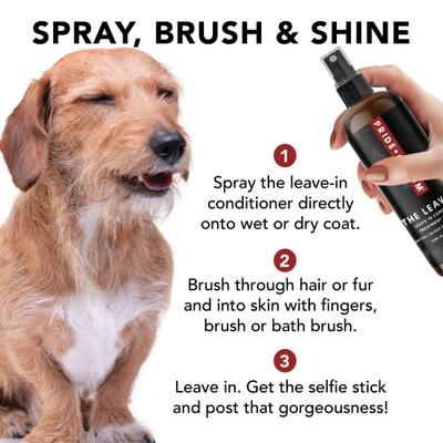 Show full view: Pride+Groom The Leave In Dog Conditioner, 12-fl oz bottle slide 3 of 6