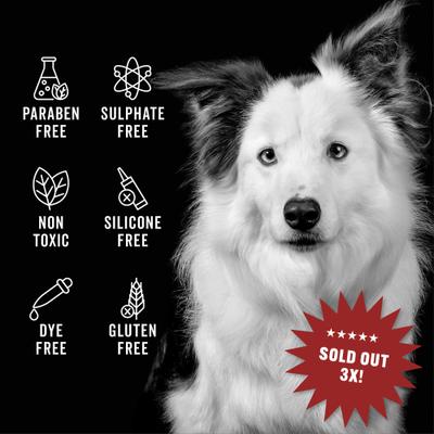 Show full view: Pride+Groom The Leave In Dog Conditioner, 12-fl oz bottle slide 2 of 6