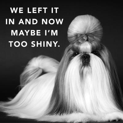 Show full view: Pride+Groom The Leave In Dog Conditioner, 12-fl oz bottle slide 6 of 6