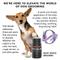 Show in main carousel: Pride+Groom The Balm Dog Skin Care Treatment, 2.5-oz jar slide 3 of 5