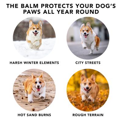 Show full view: Pride+Groom The Balm Dog Skin Care Treatment, 2.5-oz jar slide 4 of 5