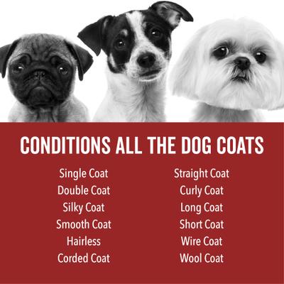 Show full view: Pride+Groom Dog Days Nourishing Dog Conditioner, 16-fl oz bottle slide 8 of 8