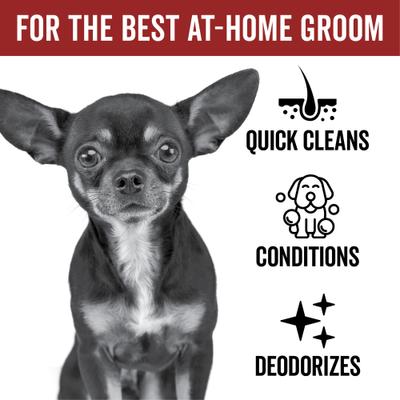 Show full view: Pride+Groom Dog Days No Rinse Dog Shampoo, 8-fl oz bottle slide 3 of 10