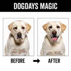 Pride+Groom Dog Days Dog Deodorizing Spray, 8-fl oz bottle slide 2 of 8