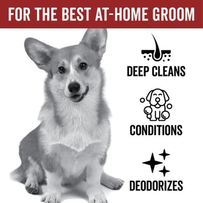 Show full view: Pride+Groom Dog Days Nourishing Dog Conditioner, 16-fl oz bottle slide 2 of 8