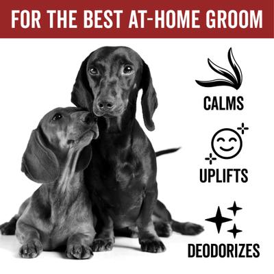Show full view: Pride+Groom Dog Days Dog Deodorizing Spray, 8-fl oz bottle slide 3 of 9