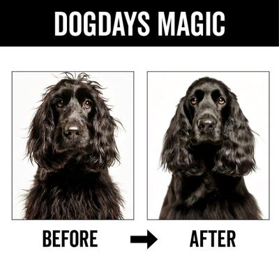 Show full view: Pride+Groom Dog Days Dog Detangling Spray, 16-fl oz bottle slide 7 of 9