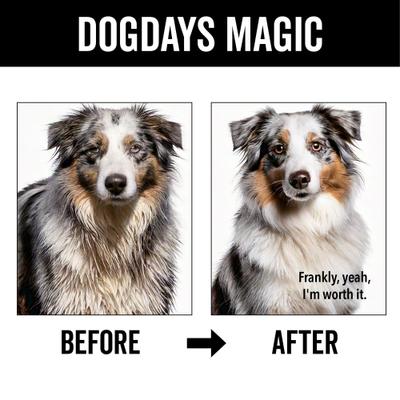 Show full view: Pride+Groom Dog Days De-Shedding Dog Shampoo slide 5 of 8