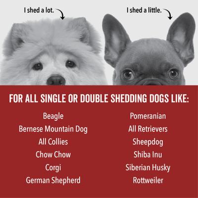 Show full view: Pride+Groom Dog Days De-Shedding Dog Shampoo slide 7 of 8