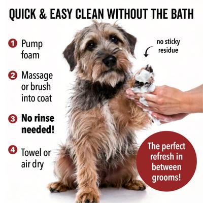 Show full view: Pride+Groom Dog Days No Rinse Dog Shampoo, 8-fl oz bottle slide 5 of 10
