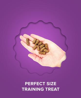 Show full view: Plato Small Bites Lamb Dog Soft & Chew Treat, 6-oz bag slide 7 of 10