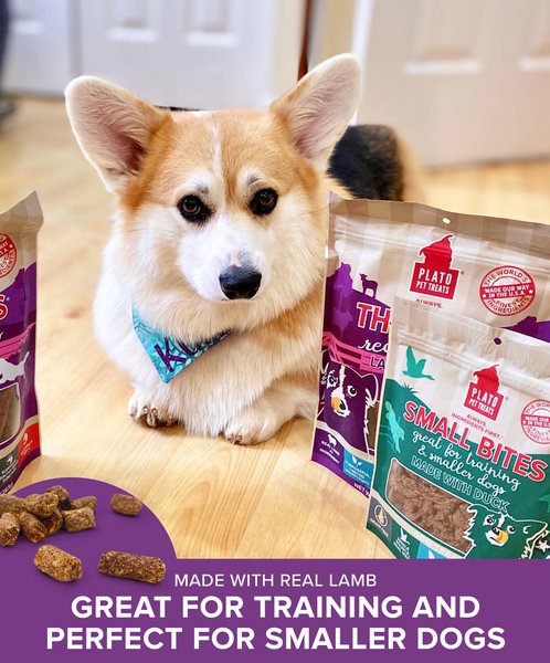 Show full view: Plato Small Bites Lamb Dog Soft & Chew Treat, 2.5-oz bag slide 6 of 10