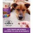 Show in main carousel: Plato Small Bites Lamb Dog Soft & Chew Treat, 2.5-oz bag slide 4 of 10