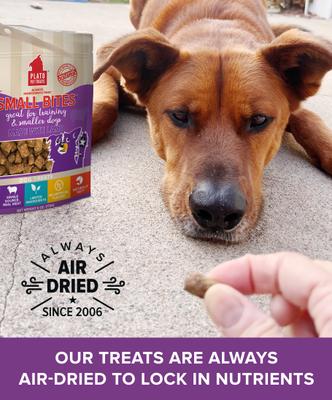 Show full view: Plato Small Bites Lamb Dog Soft & Chew Treat, 6-oz bag slide 4 of 10