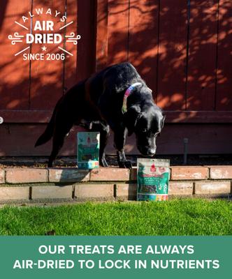 Show full view: Plato Small Bites Duck Grain-Free Dog Treats, 2.5-oz bag slide 4 of 11