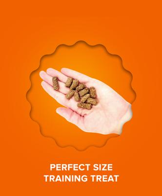 Show full view: Plato Small Bites Organic Chicken Grain-Free Dog Treats, 2.5-oz bag slide 6 of 10