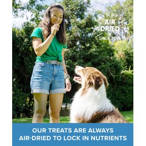 Plato Small Bites Salmon Grain-Free Dog Treats, 6-oz bag