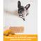 Show in main carousel: Plato Original Real Strips Turkey & Pumpkin Recipe Grain-Free Dog Treats, 18-oz bag slide 6 of 11