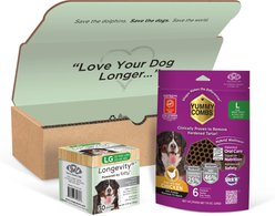 Longevity15 & Yummy Combs Mini-Pack Bundle Cheese Flavored Powder Supplement for Large Dogs, 3.7-oz bag