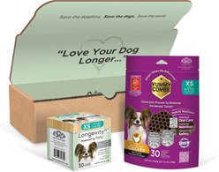 Longevity15 & Yummy Combs Mini-Pack Bundle Cheese Flavored Powder Supplement for X-Small Dogs, 2.65-oz bag