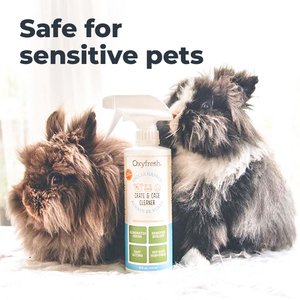 Oxyfresh Crate & Cage Cleaning Spray, 16-fl oz bottle